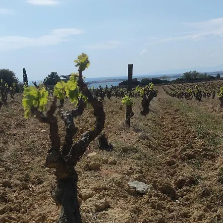 Centre Odcvl Les Coussoules Hotel *